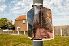 koningsdag-5